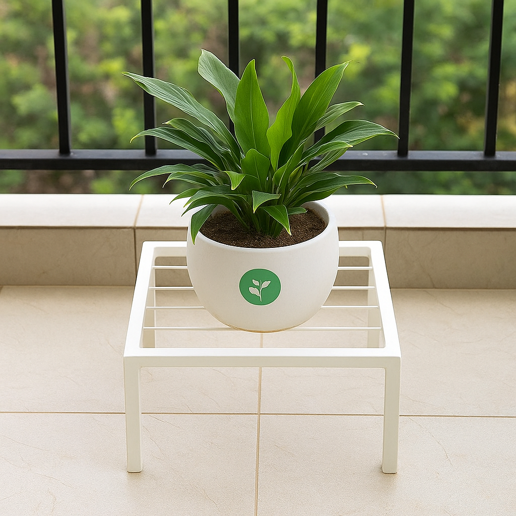 Verdure Pax Square Flower Pot Stand – Thick & Strong White Legs Planter Holder