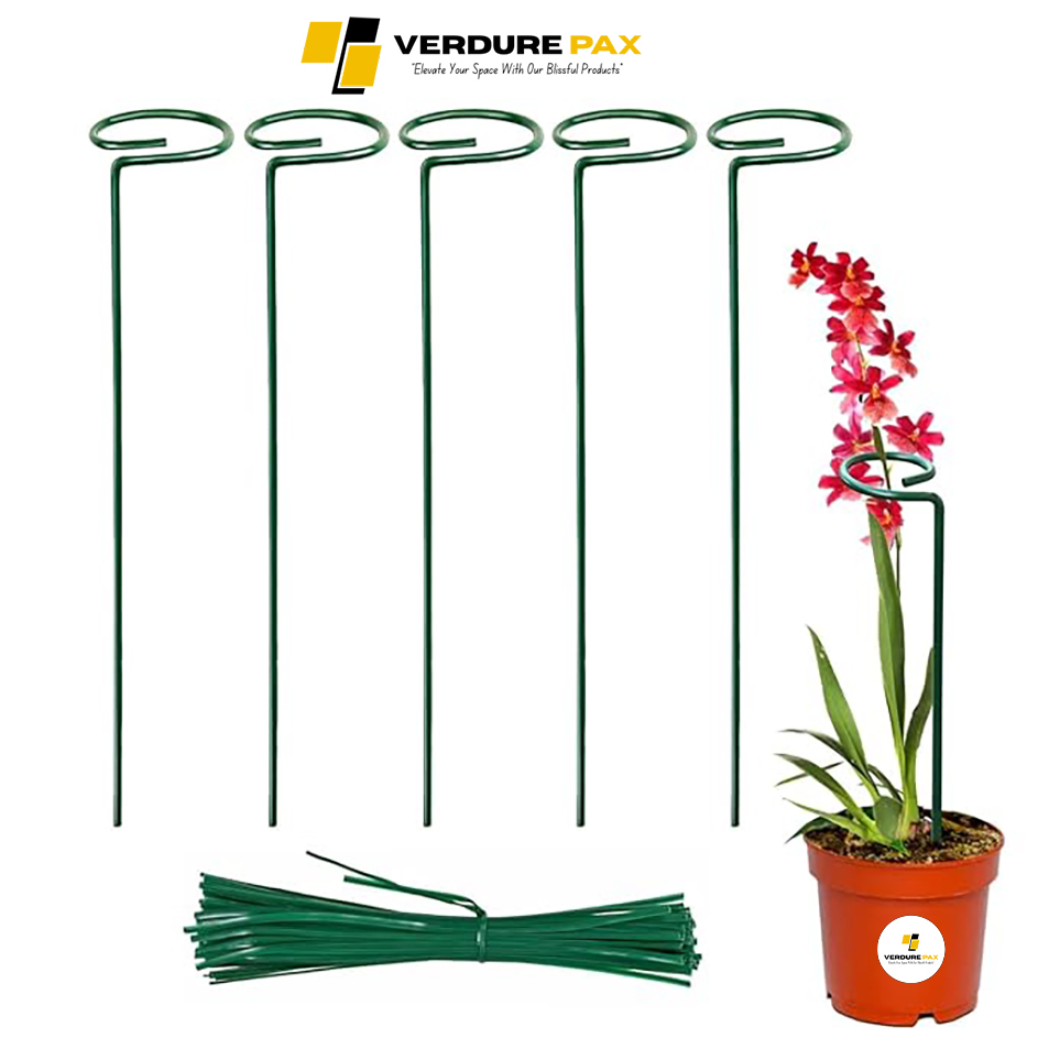 Verdure Pax Premium Plant Support Stakes – Strong Garden & Indoor Plant Holders