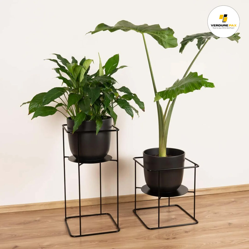 Verdure Pax Solid Steel Plant Stand – Durable Indoor & Outdoor Planter (Black/White)