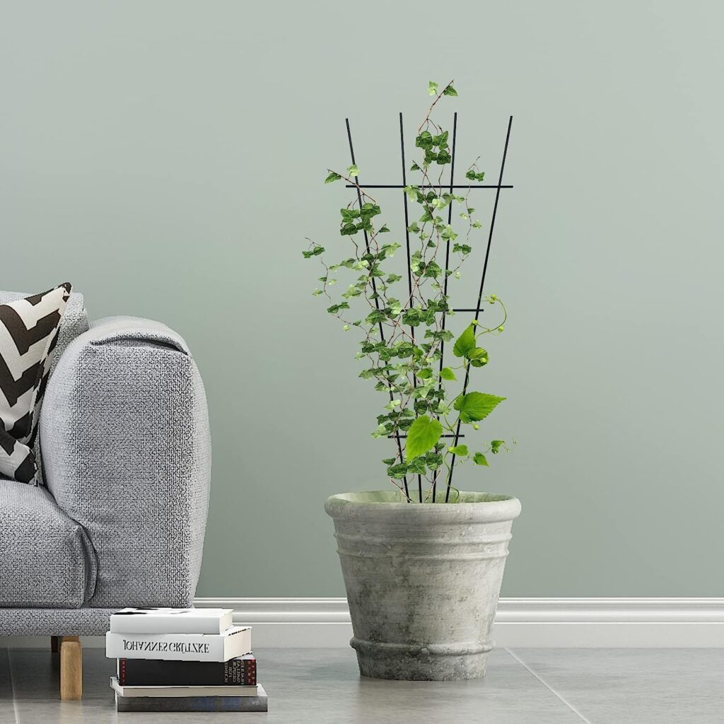 Verdure Pax Metal Plant Support Trellis for Indoor and Outdoor Pots | Vertical Climbing Plant Stand