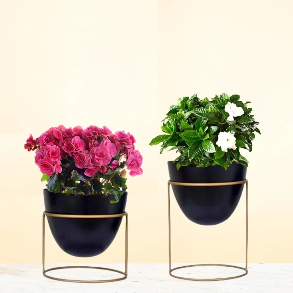 Verdure Pax Modern Metal Planter with Gold Stand | Round Flower Pot for Indoor, Balcony & Living Room Decor