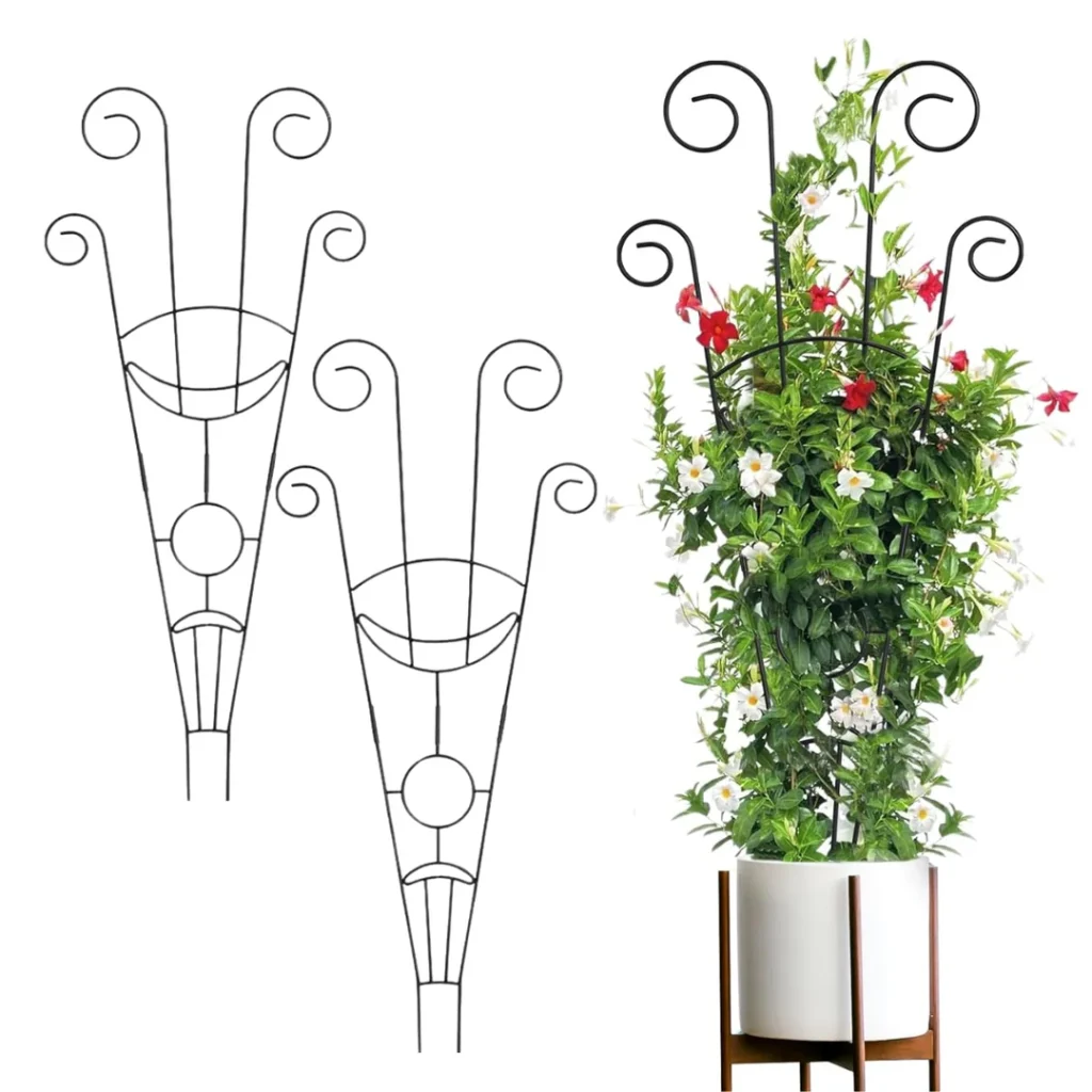 Verdure Pax Decorative Metal Plant Trellis | Elegant Climbing Support Frame for Indoor & Outdoor Flowering Plants