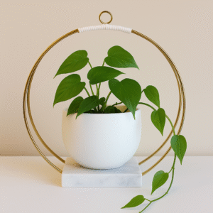 Verdure Pax Modern Quartz Marble Hanging Plant Holder | Minimalist Metal Frame Plant Stand for Home Decor