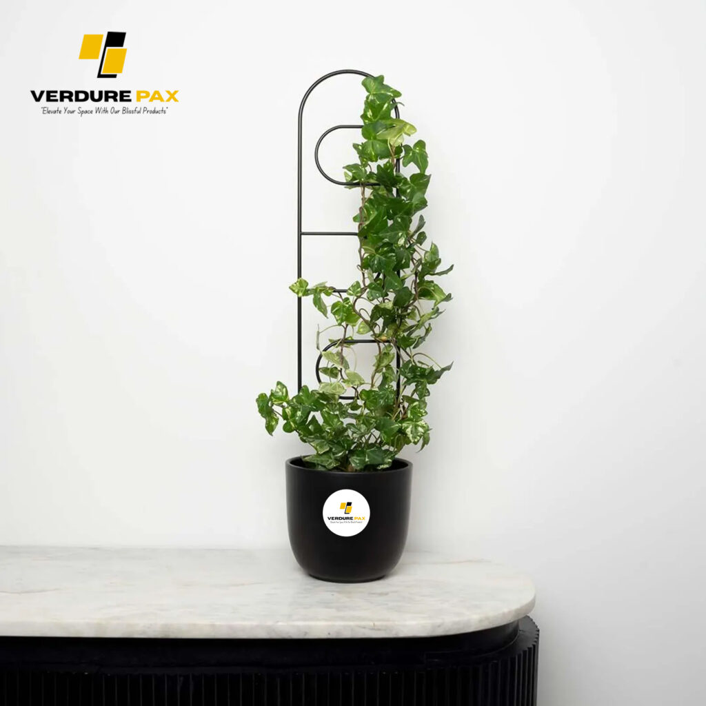 Verdure Pax Black Metal Plant Trellis – Indoor Plant Support Stand