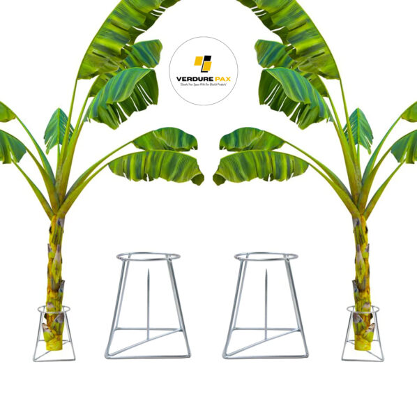 VERDURE PAX BANANA TREE HOLDER FOR POOJA STAND
