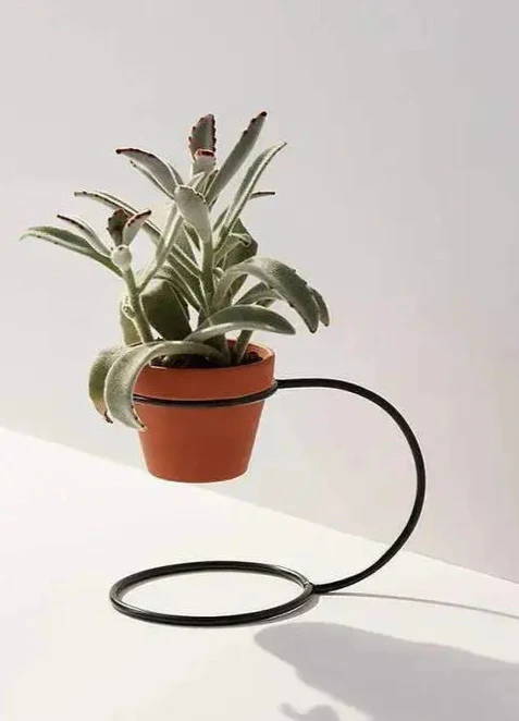 Verdure Pax Curved Metal Pot Holder | Modern Circular Plant Stand for Tabletop & Indoor Decor