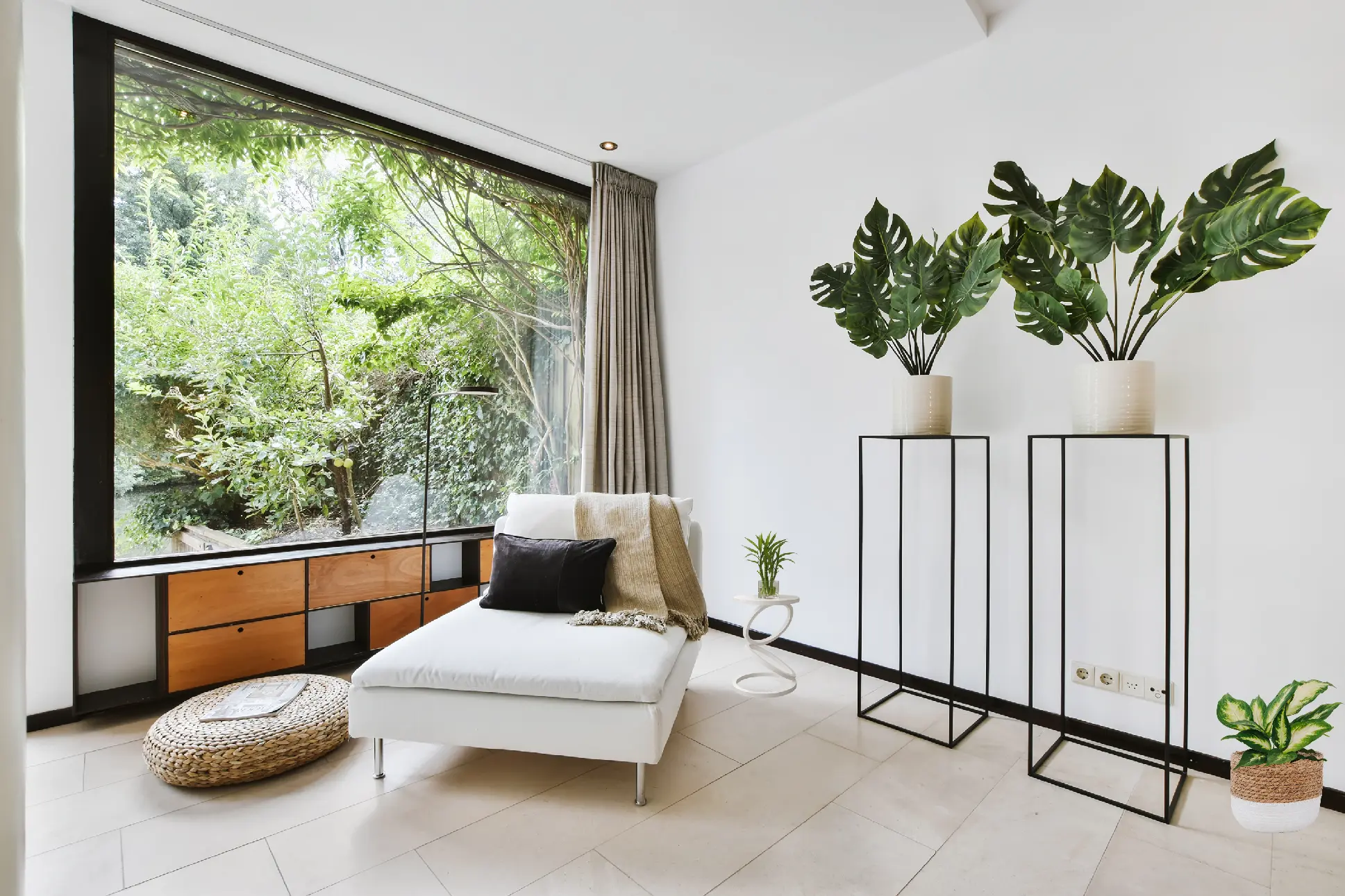 Untitled design (1)-1