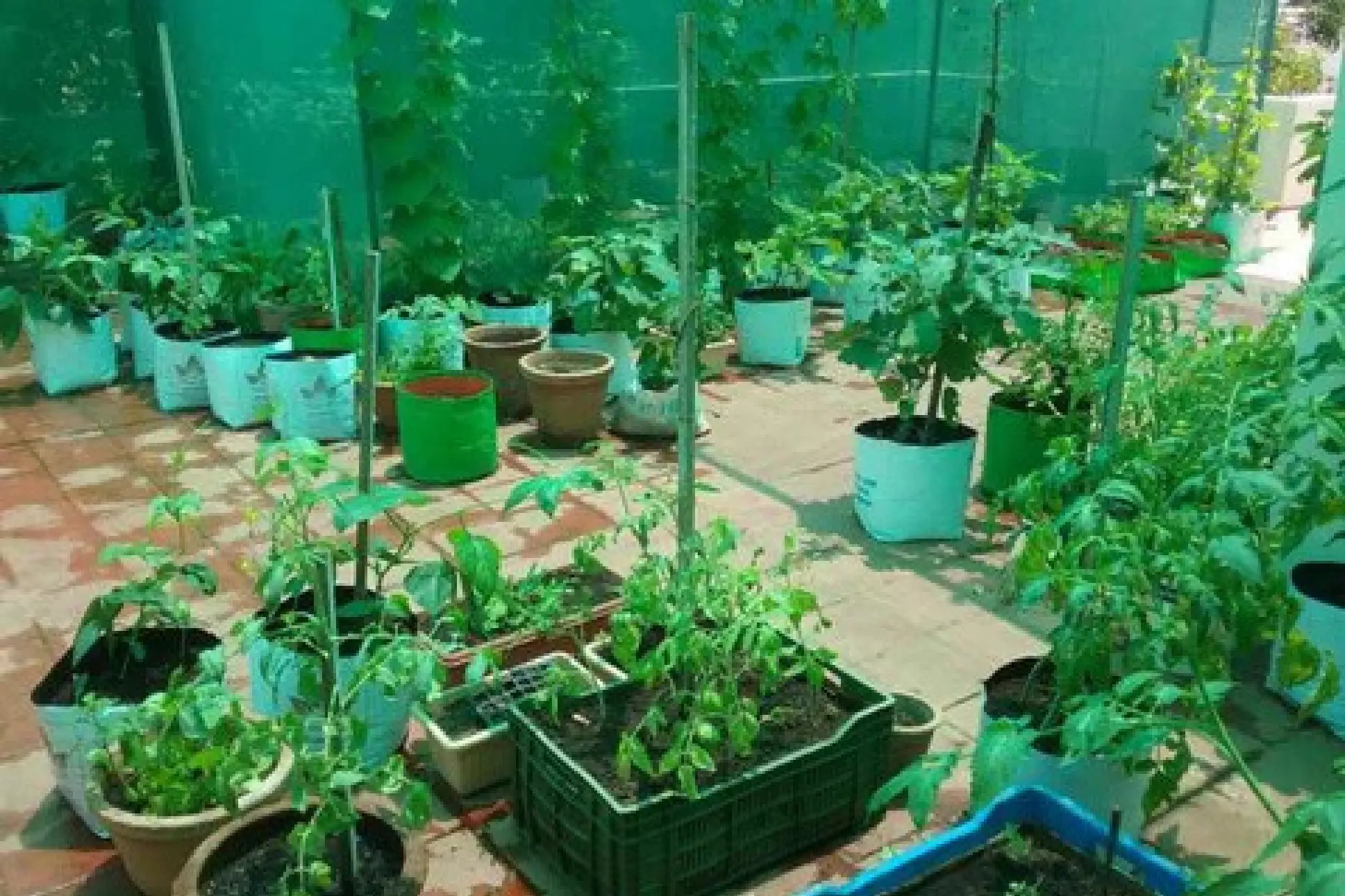 Untitled design (1)-10