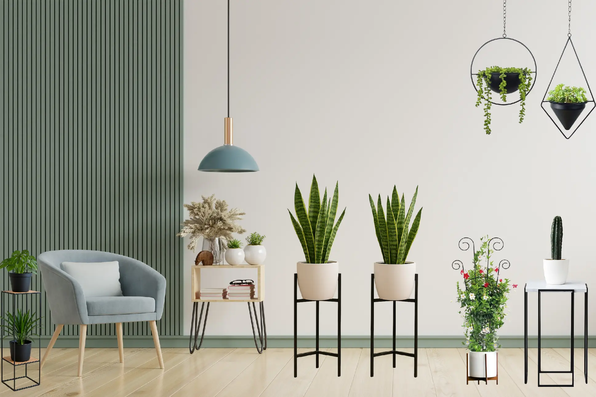 Untitled design (1)-2