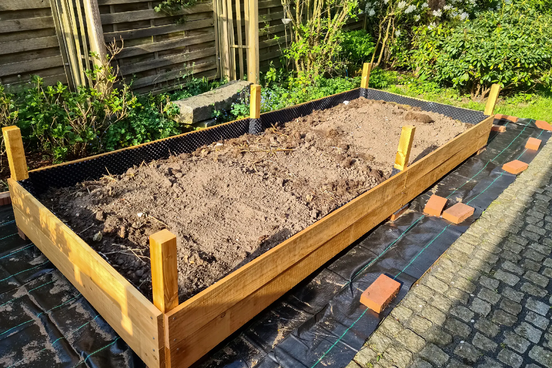 Untitled design (1)-5