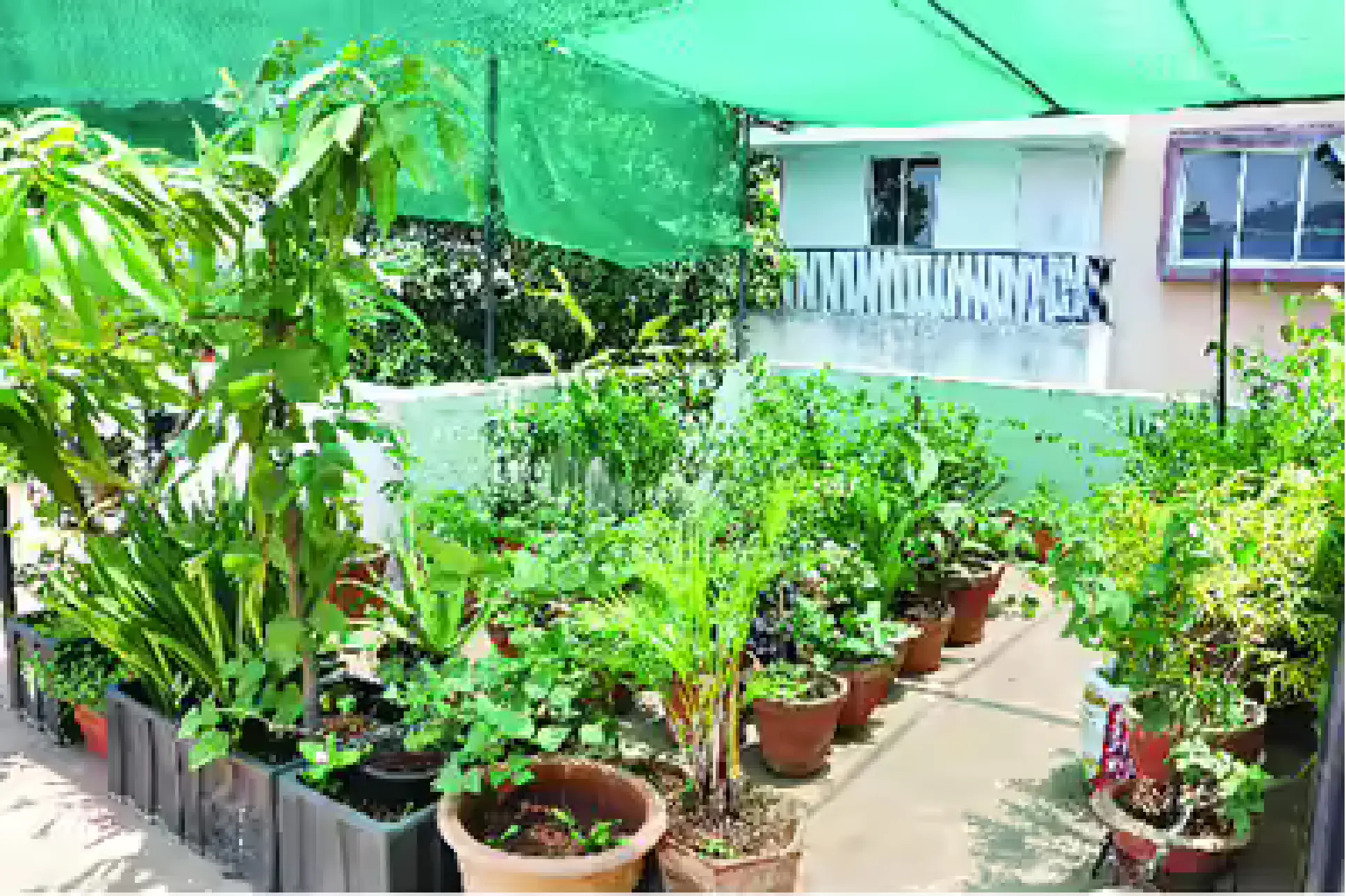 Untitled design (1)-8