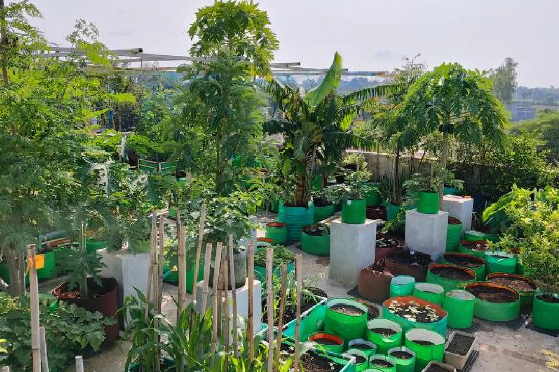 Untitled design (1)-9